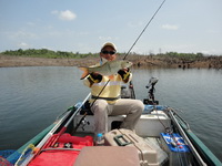 jungle perch thailand